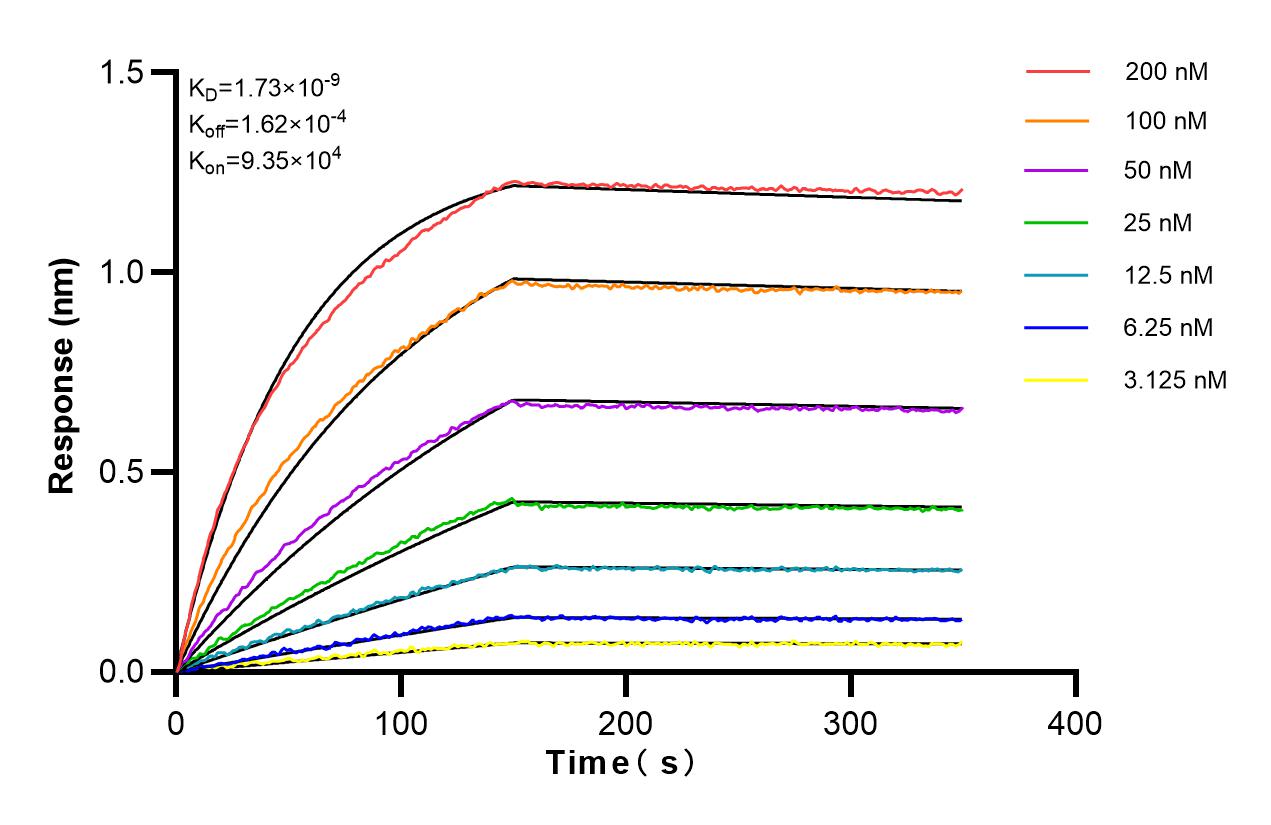 Affinity and Kinetic Characterization of 83265-7-RR