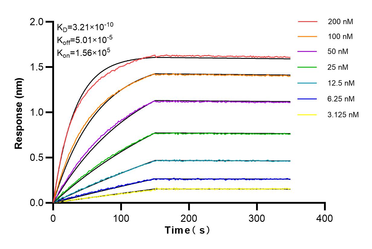 Affinity and Kinetic Characterization of 83265-8-RR