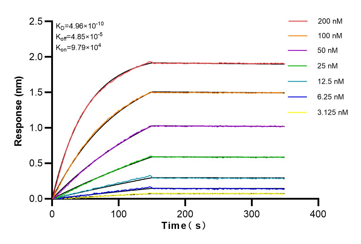 Affinity and Kinetic Characterization of 83267-1-RR