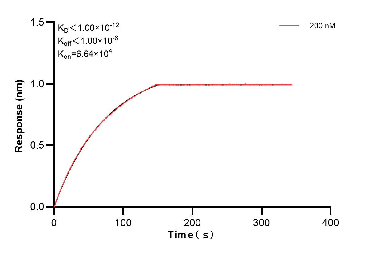 Affinity and Kinetic Characterization of 83267-2-PBS