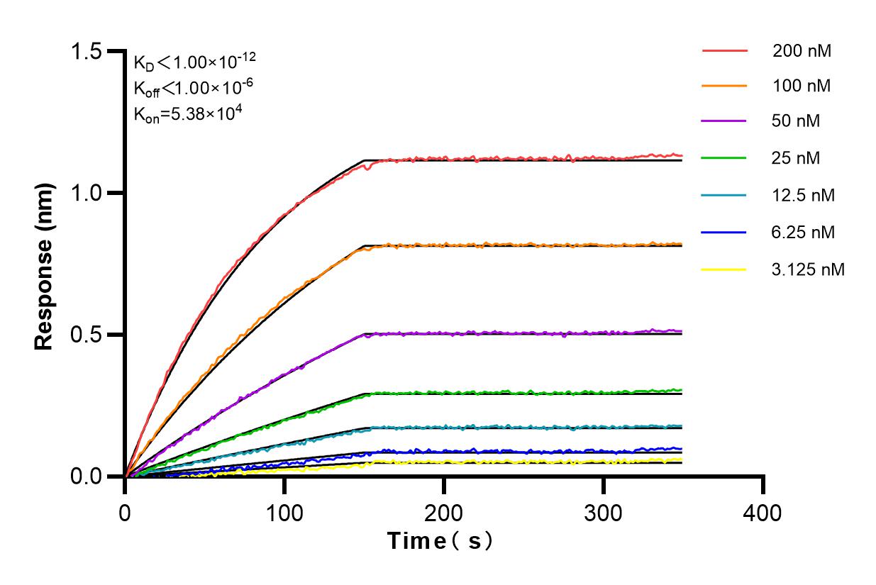 Affinity and Kinetic Characterization of 83275-2-RR