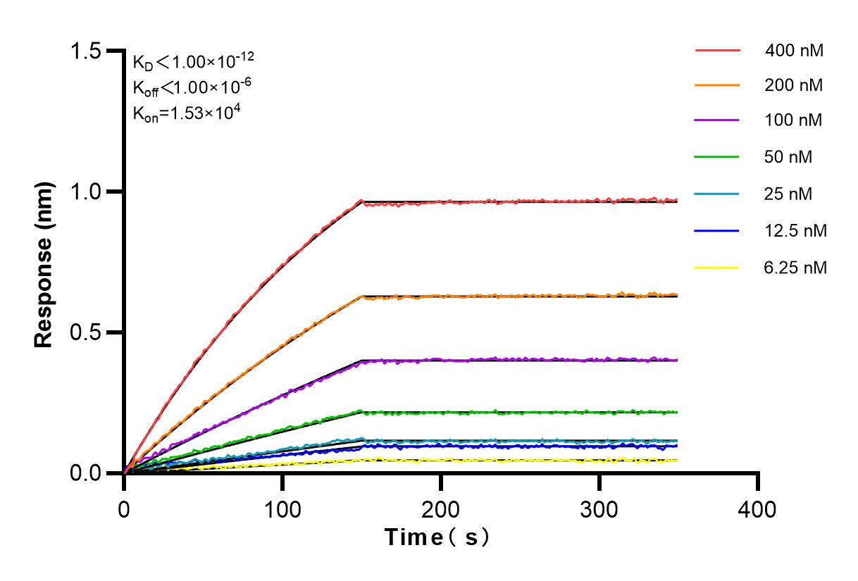 Affinity and Kinetic Characterization of 83279-1-PBS