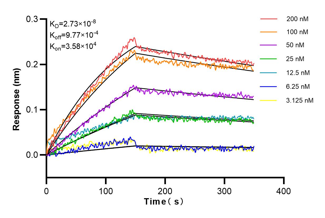 Affinity and Kinetic Characterization of 83288-2-RR