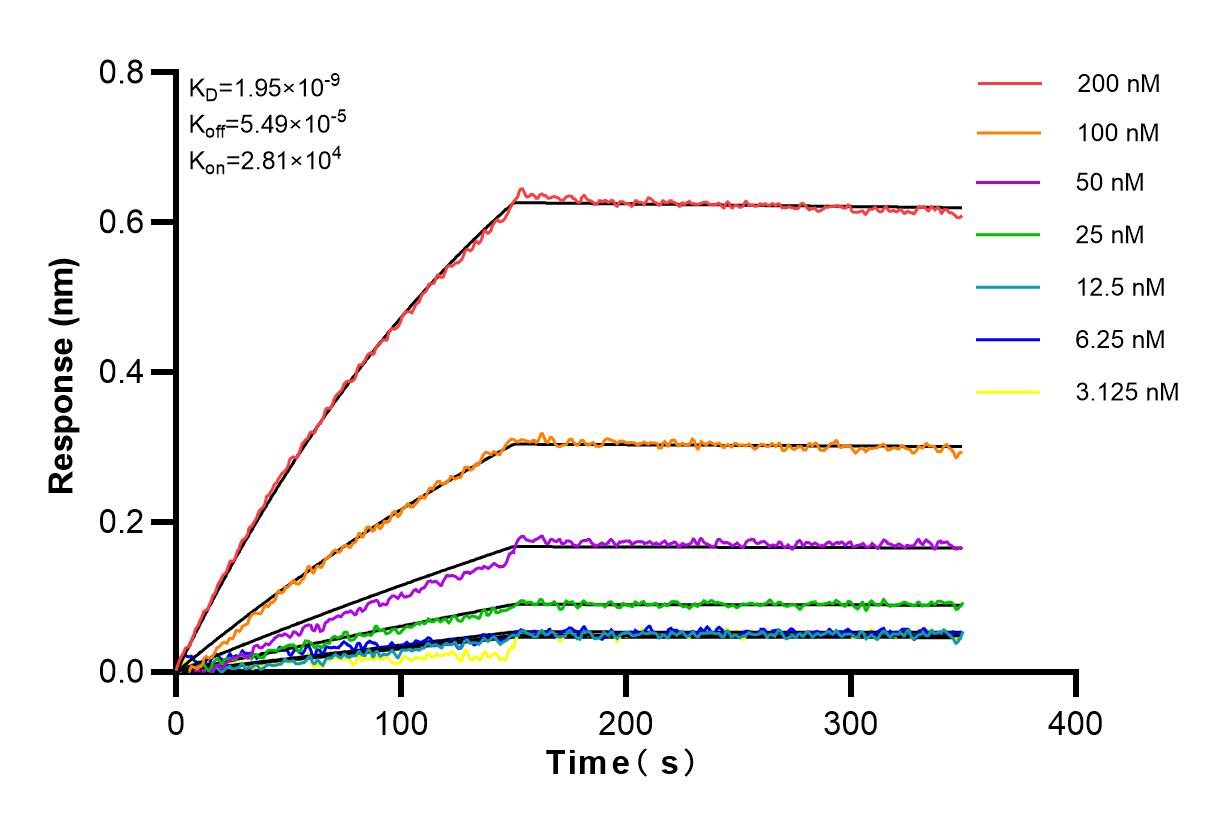 Affinity experiments of 83295-5-RR