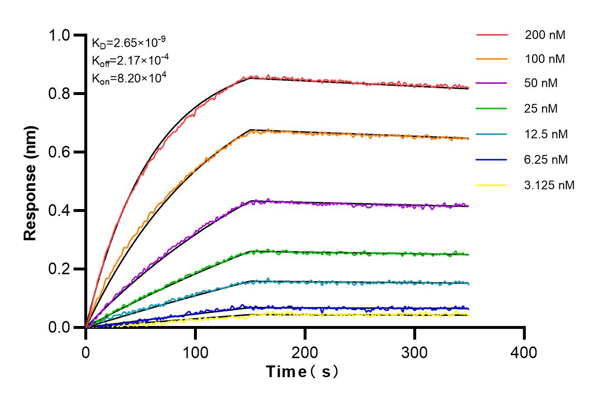 Affinity experiments of 83297-6-RR