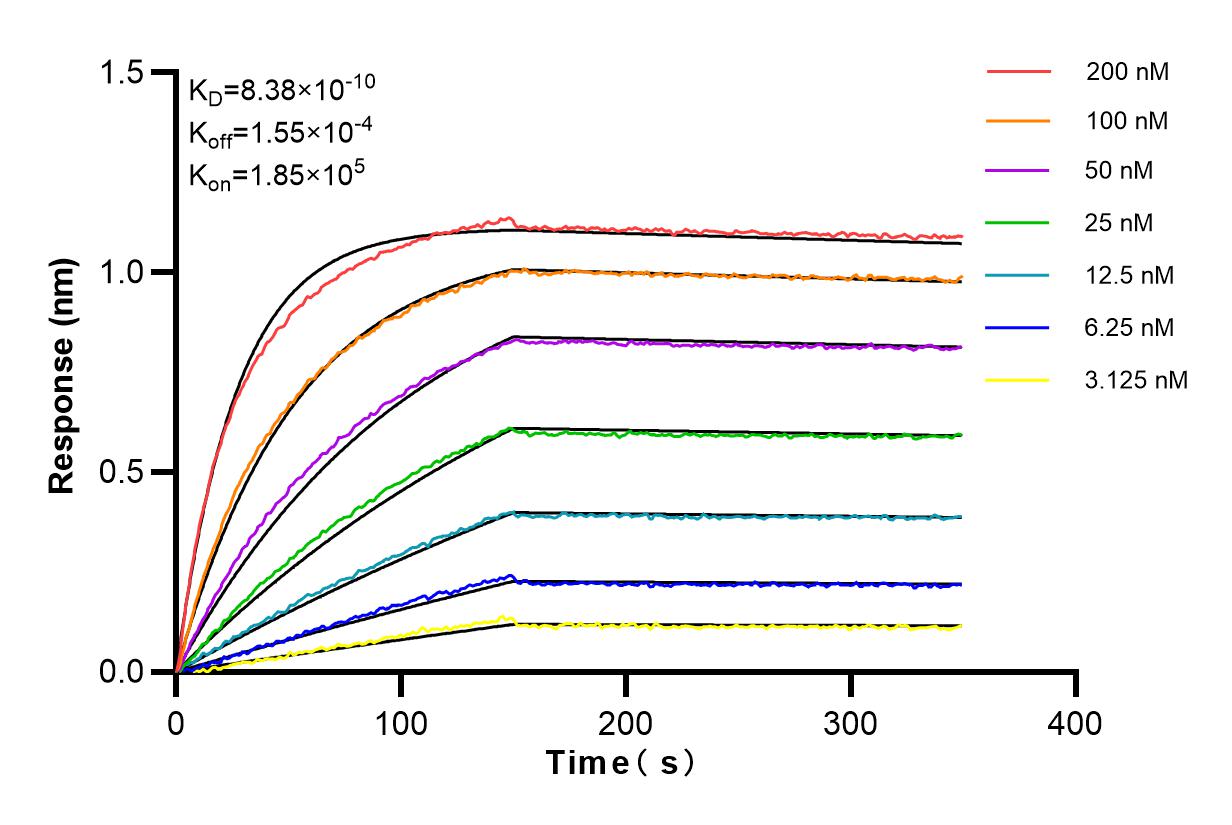 Affinity and Kinetic Characterization of 83297-7-RR