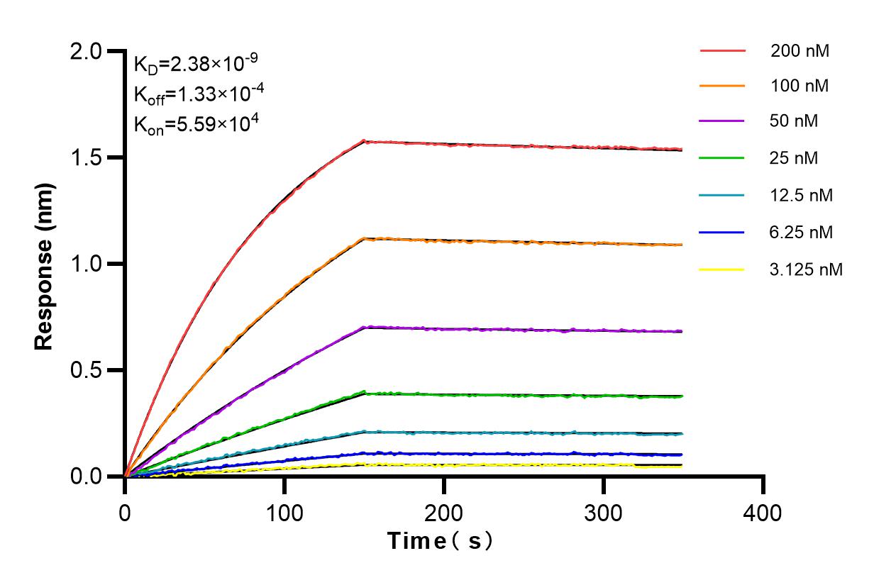 Affinity and Kinetic Characterization of 83309-1-RR