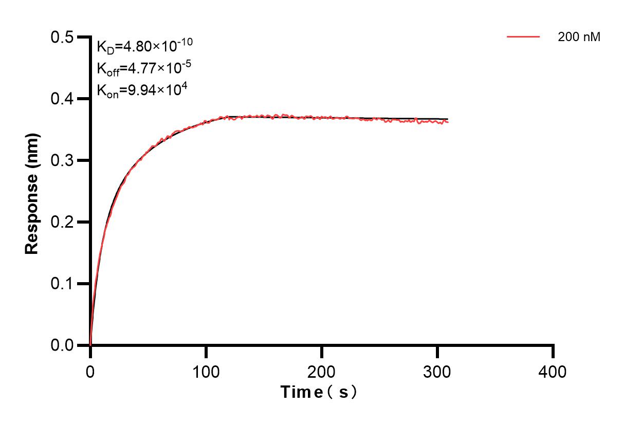 Affinity and Kinetic Characterization of 83312-2-PBS