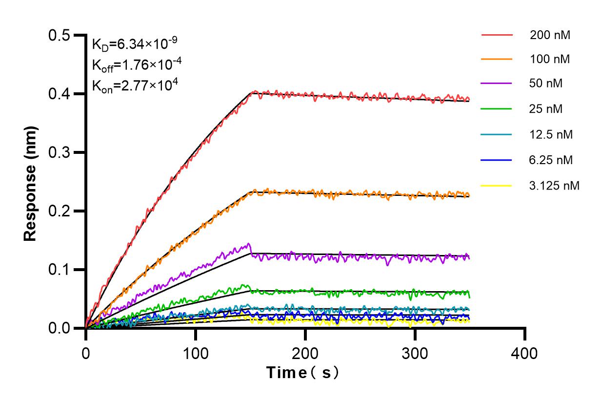 Affinity and Kinetic Characterization of 83314-6-RR