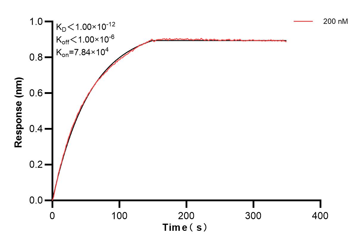 Affinity and Kinetic Characterization of 83321-4-PBS