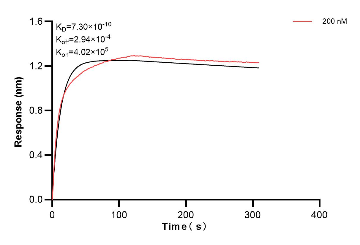 Affinity and Kinetic Characterization of 83323-4-PBS