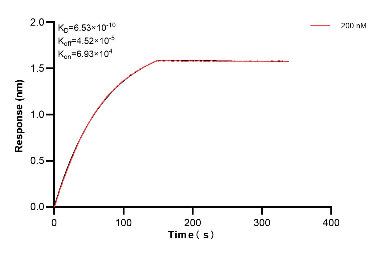 Affinity and Kinetic Characterization of 83324-2-PBS