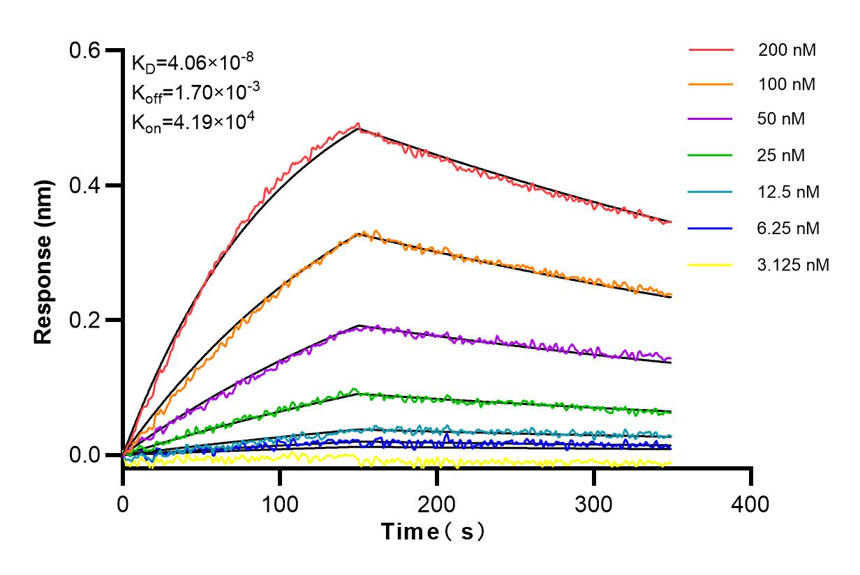 Affinity and Kinetic Characterization of 83347-5-RR