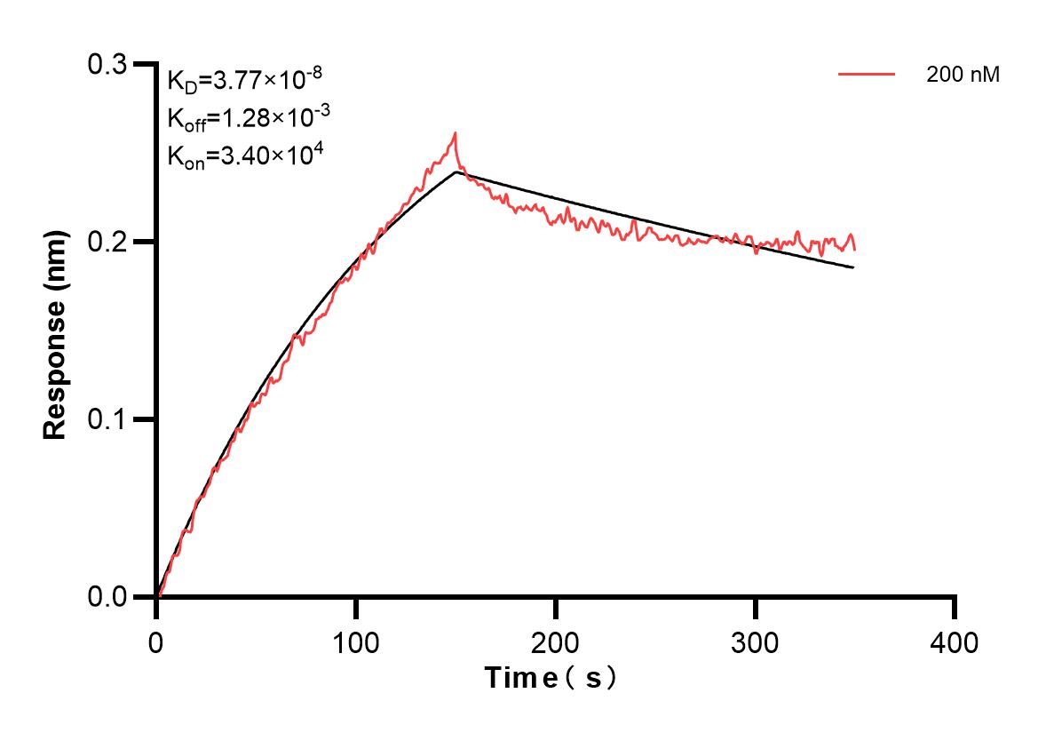 Affinity and Kinetic Characterization of 83348-1-PBS