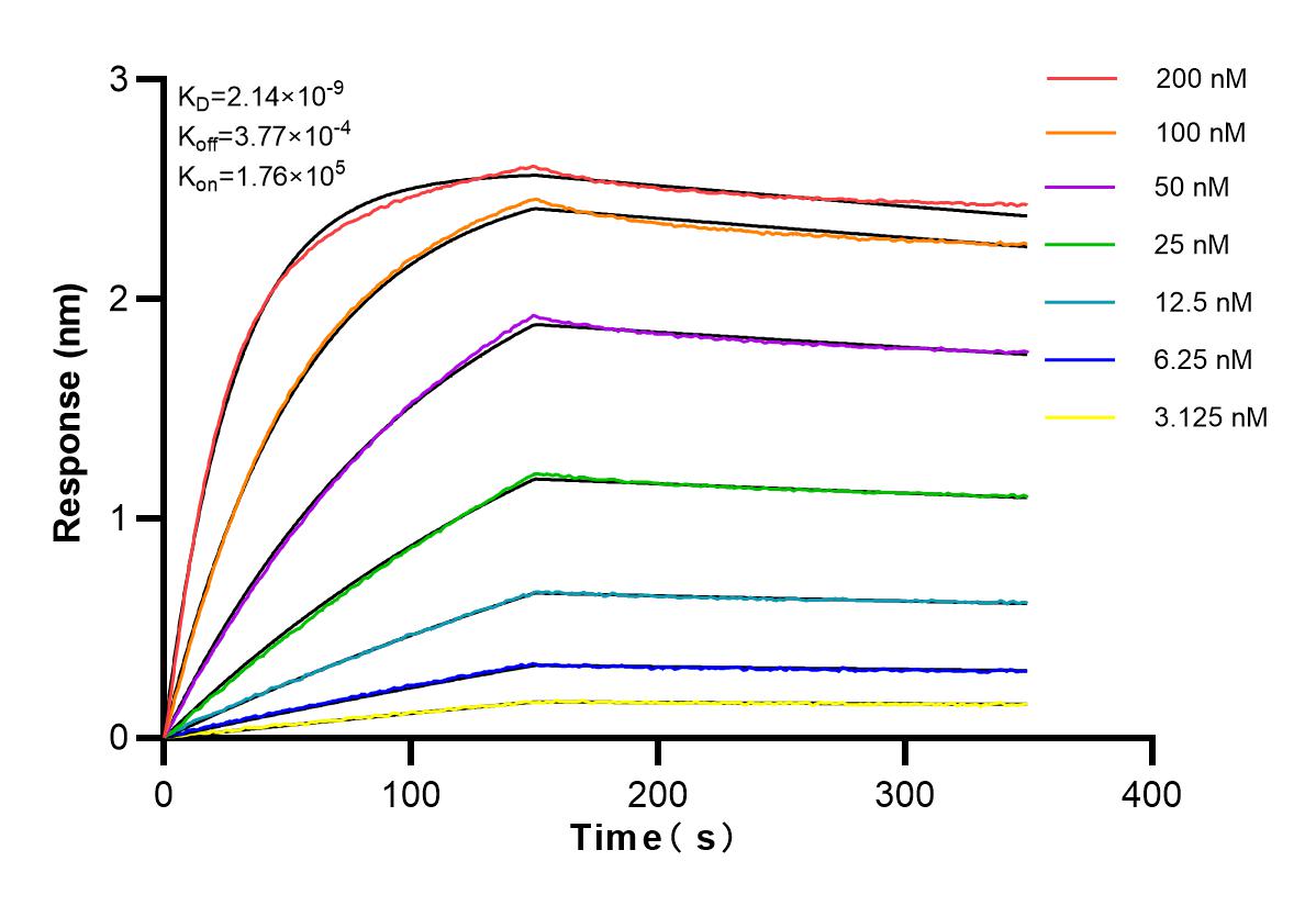 Affinity and Kinetic Characterization of 83351-6-PBS