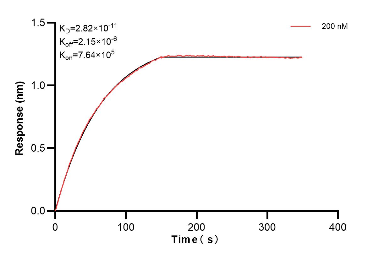 Affinity and Kinetic Characterization of 83352-1-PBS