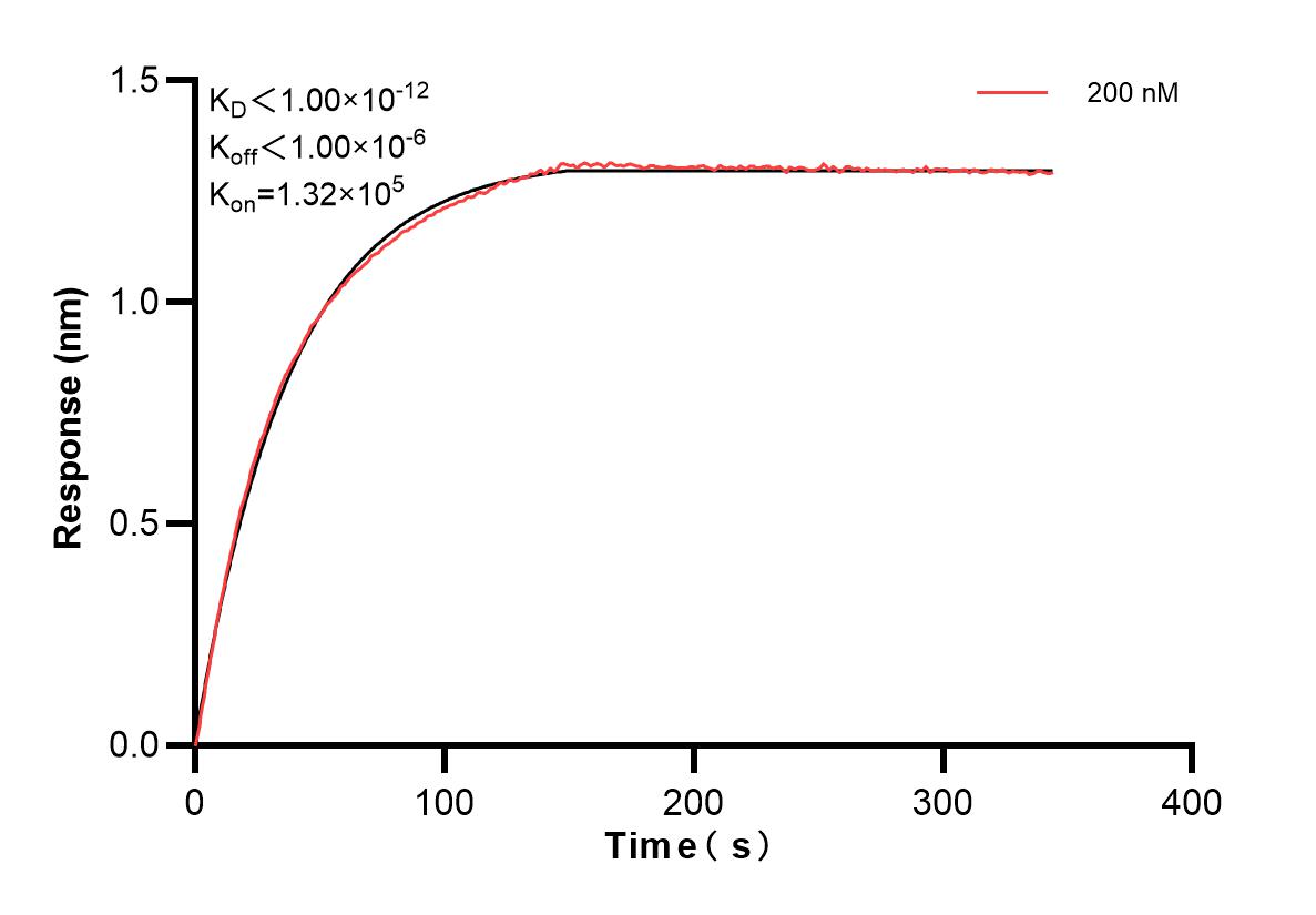 Affinity and Kinetic Characterization of 83352-3-PBS