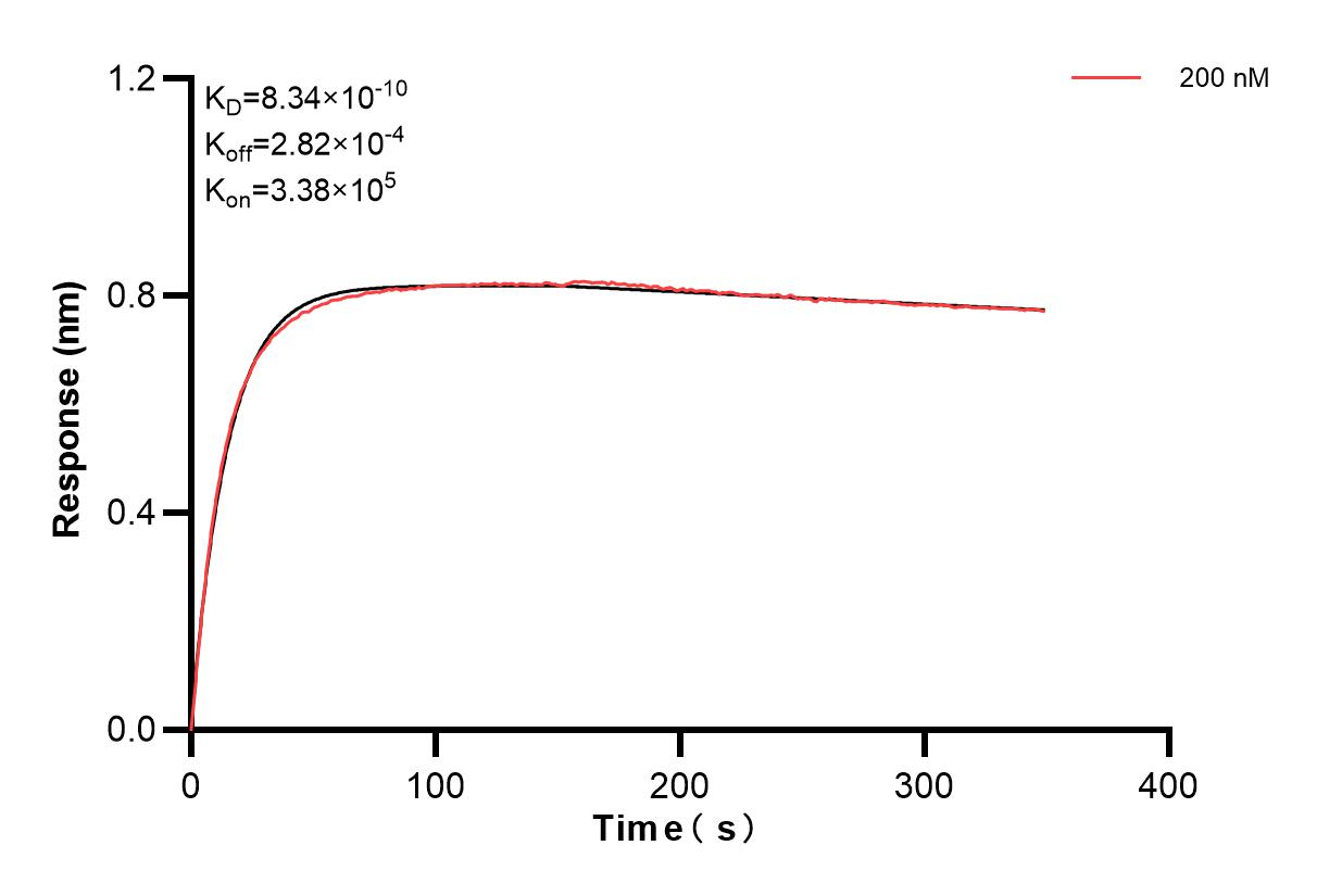 Affinity and Kinetic Characterization of 83356-4-PBS