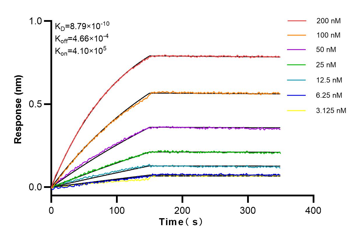 Affinity and Kinetic Characterization of 83360-2-RR