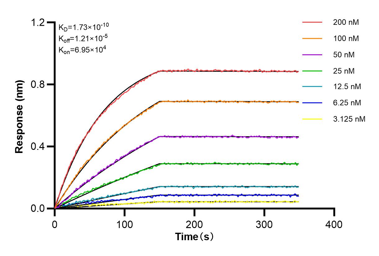 Affinity and Kinetic Characterization of 83362-2-RR