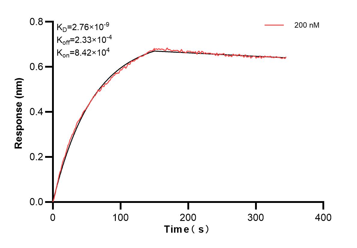 Affinity and Kinetic Characterization of 83362-3-PBS