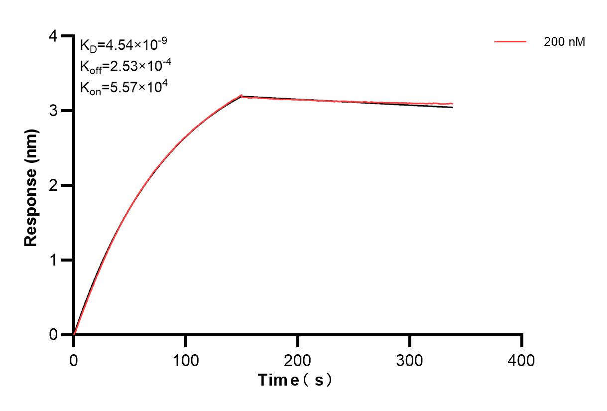 Affinity and Kinetic Characterization of 83376-1-PBS