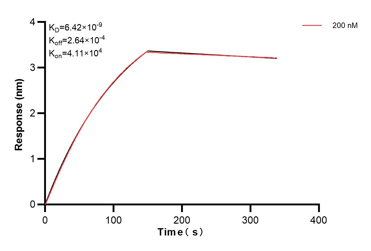 Affinity and Kinetic Characterization of 83376-2-PBS