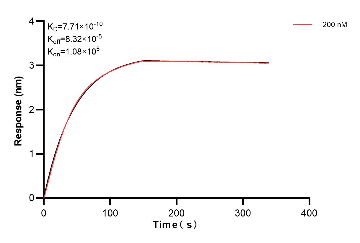 Affinity and Kinetic Characterization of 83376-5-PBS