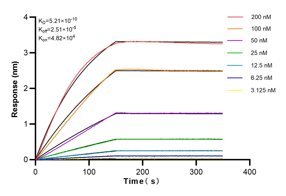 Affinity and Kinetic Characterization of 83376-7-RR