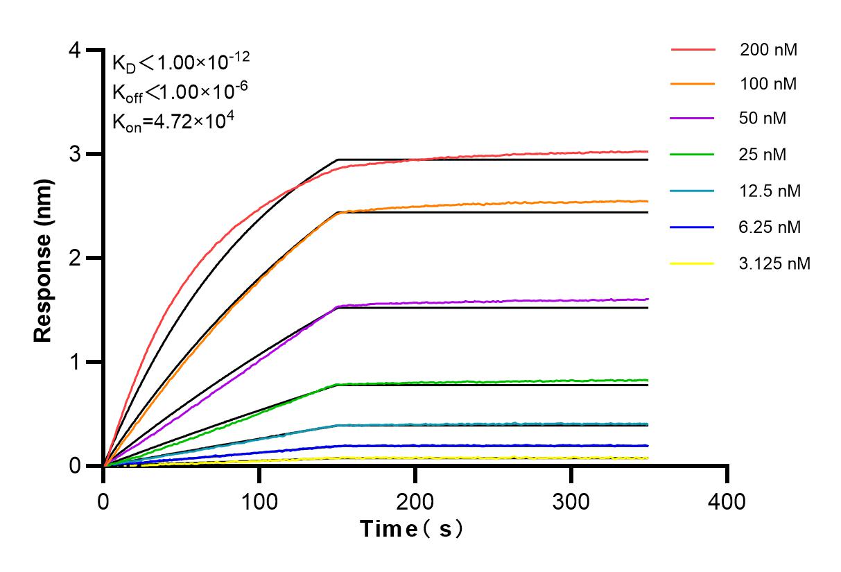 Affinity and Kinetic Characterization of 83376-7-RR