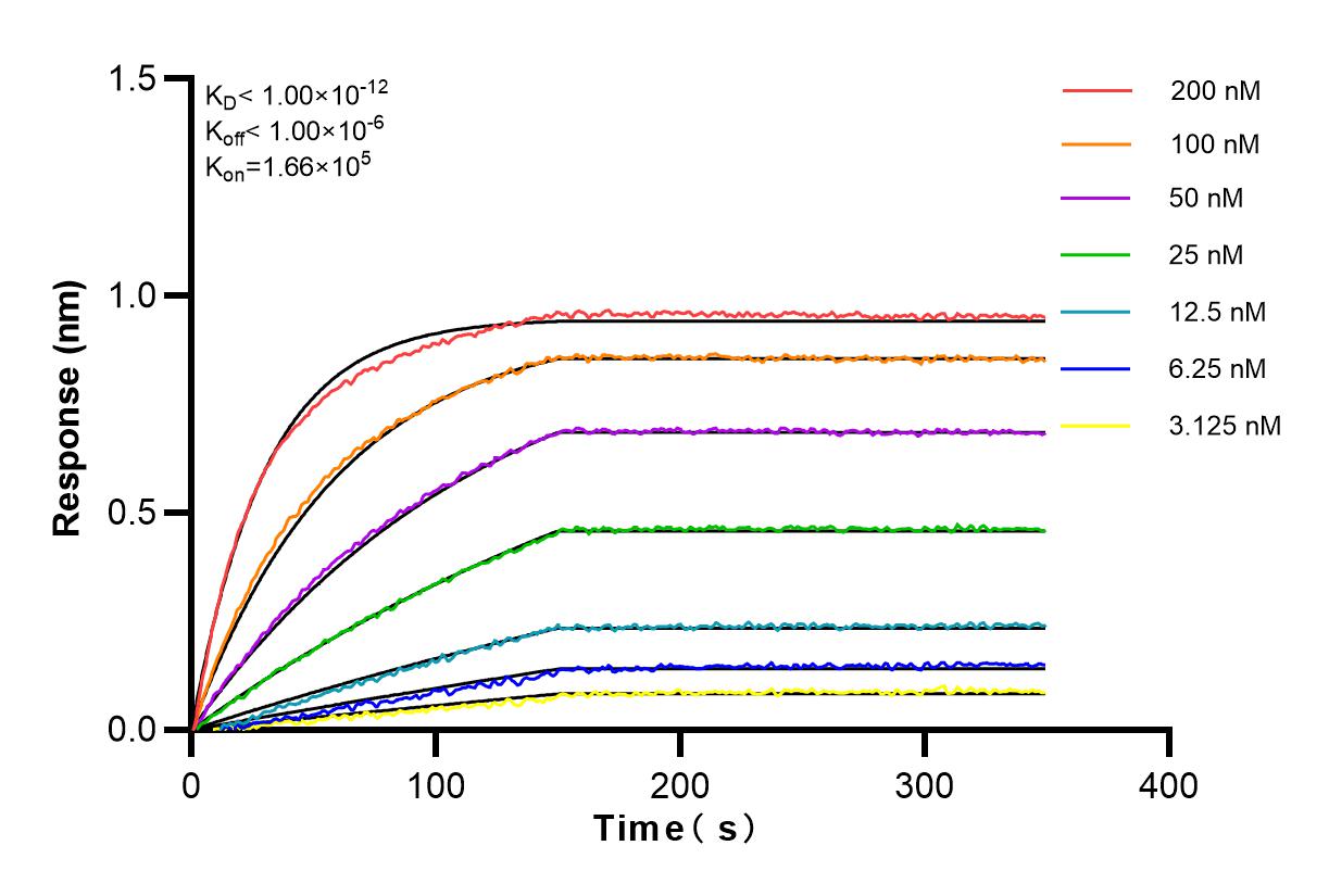 Affinity and Kinetic Characterization of 83382-2-PBS