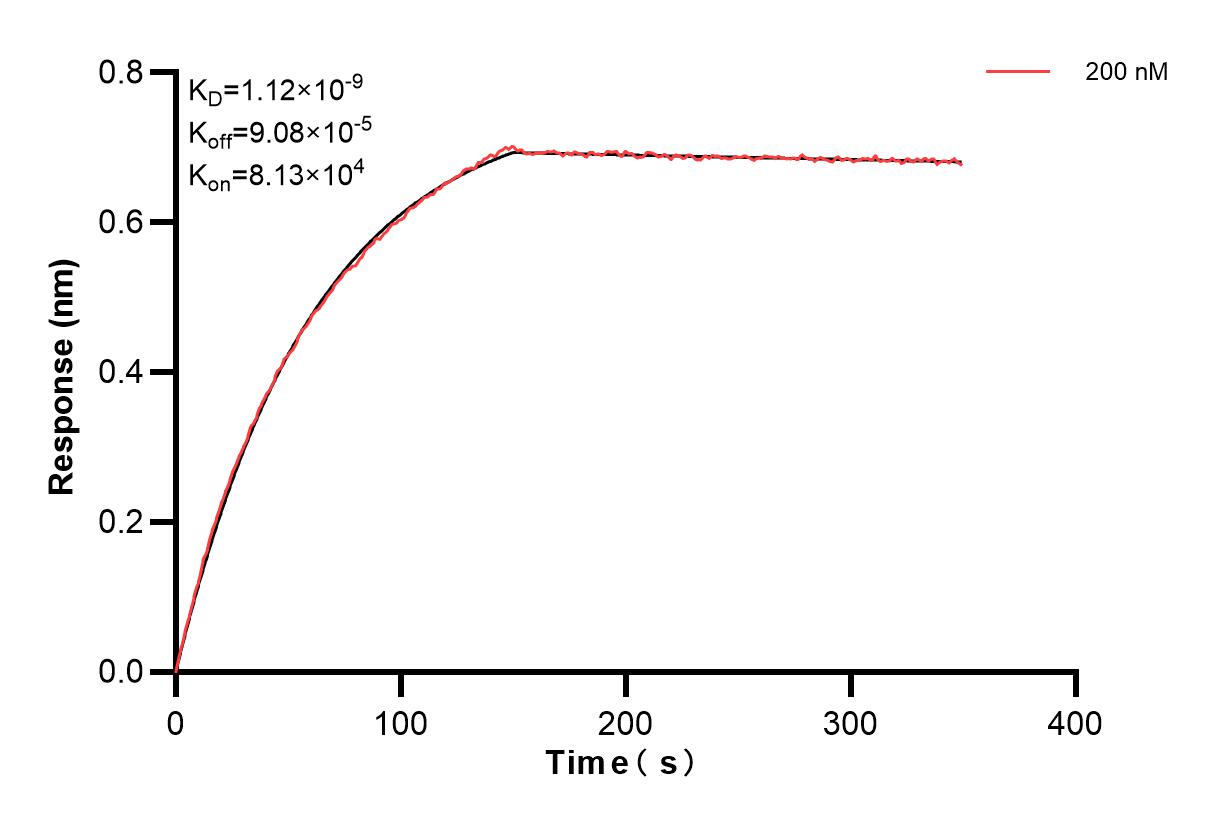 Affinity and Kinetic Characterization of 83383-8-PBS