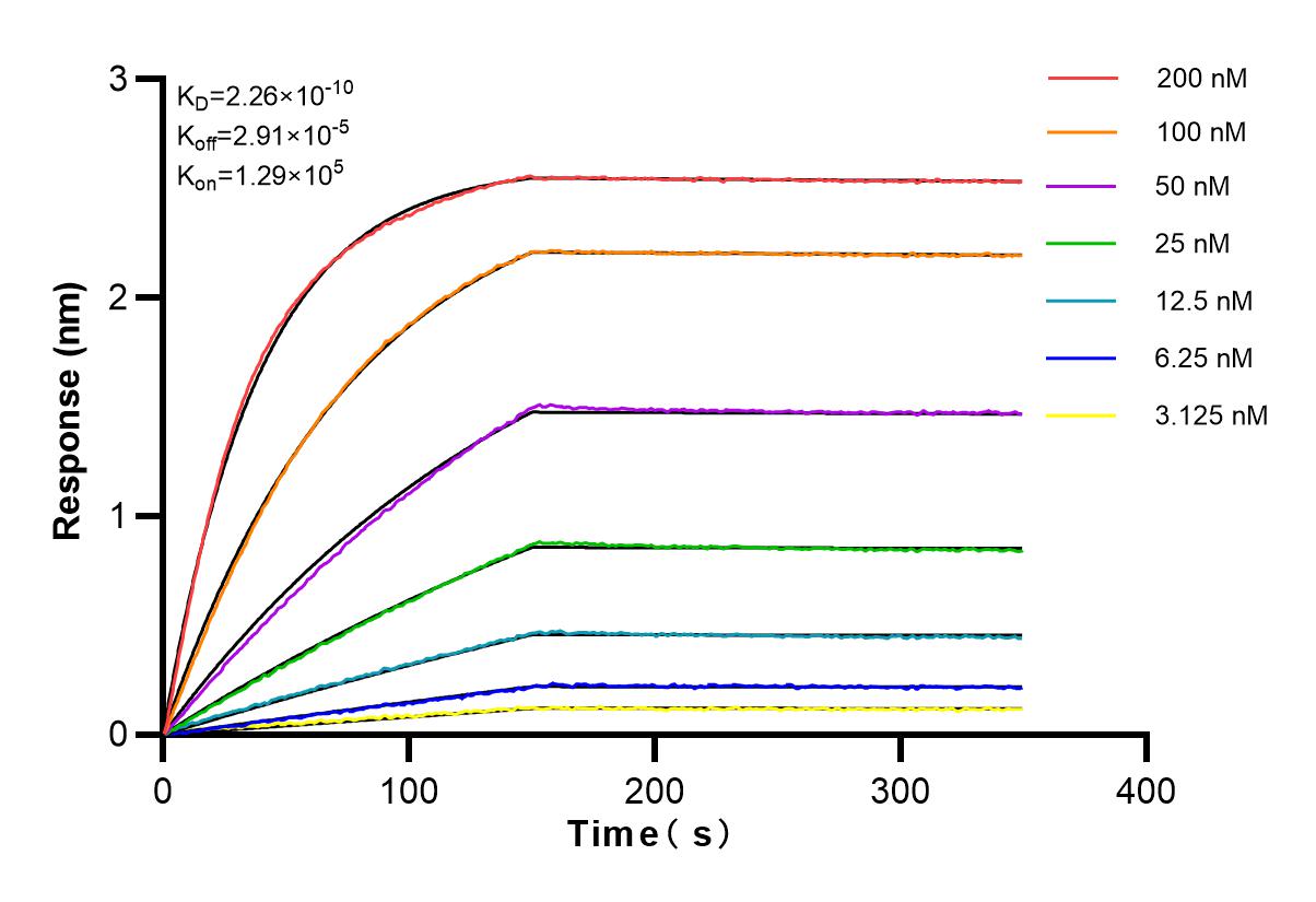 Affinity and Kinetic Characterization of 83385-6-RR