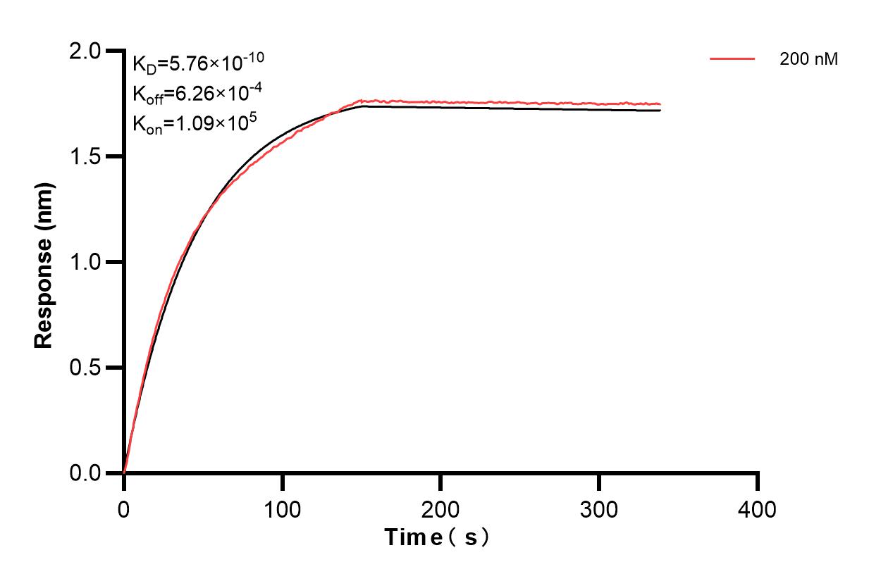 Affinity and Kinetic Characterization of 83390-5-PBS