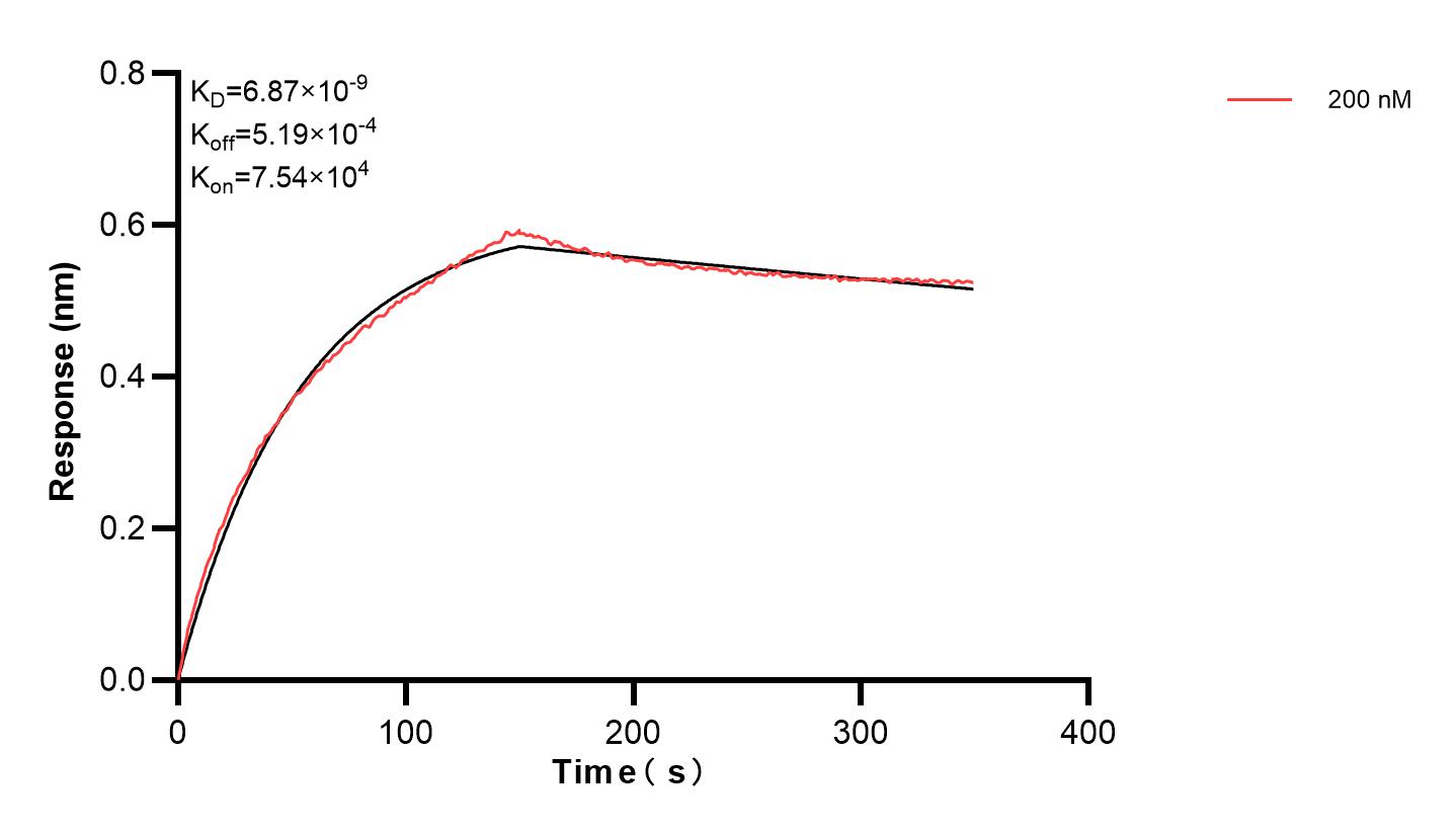 Affinity and Kinetic Characterization of 83394-3-PBS