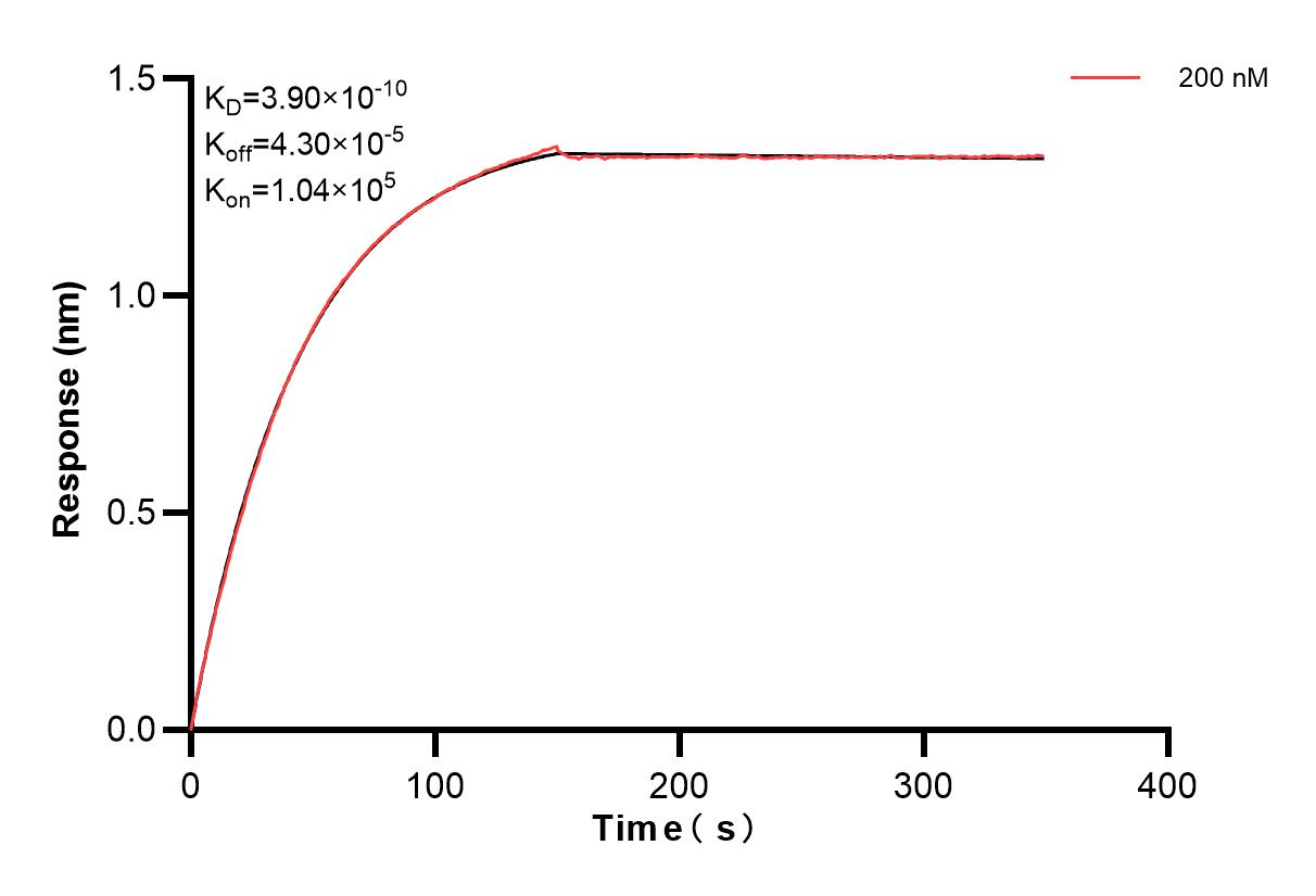 Affinity and Kinetic Characterization of 83395-1-PBS