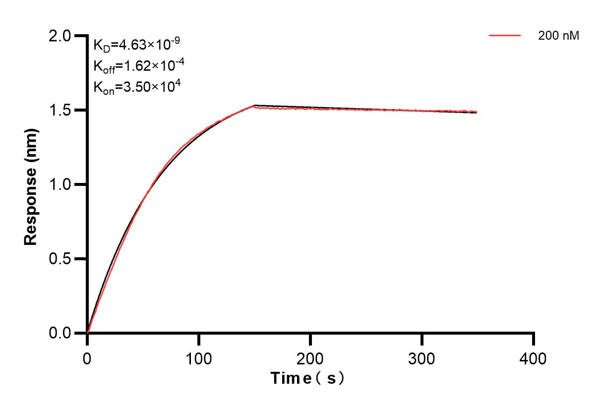 Affinity and Kinetic Characterization of 83395-4-PBS