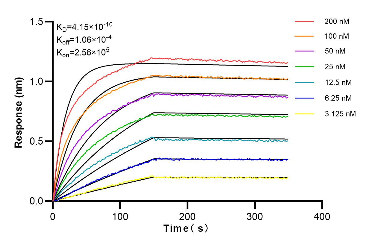 Affinity and Kinetic Characterization of 83396-5-RR