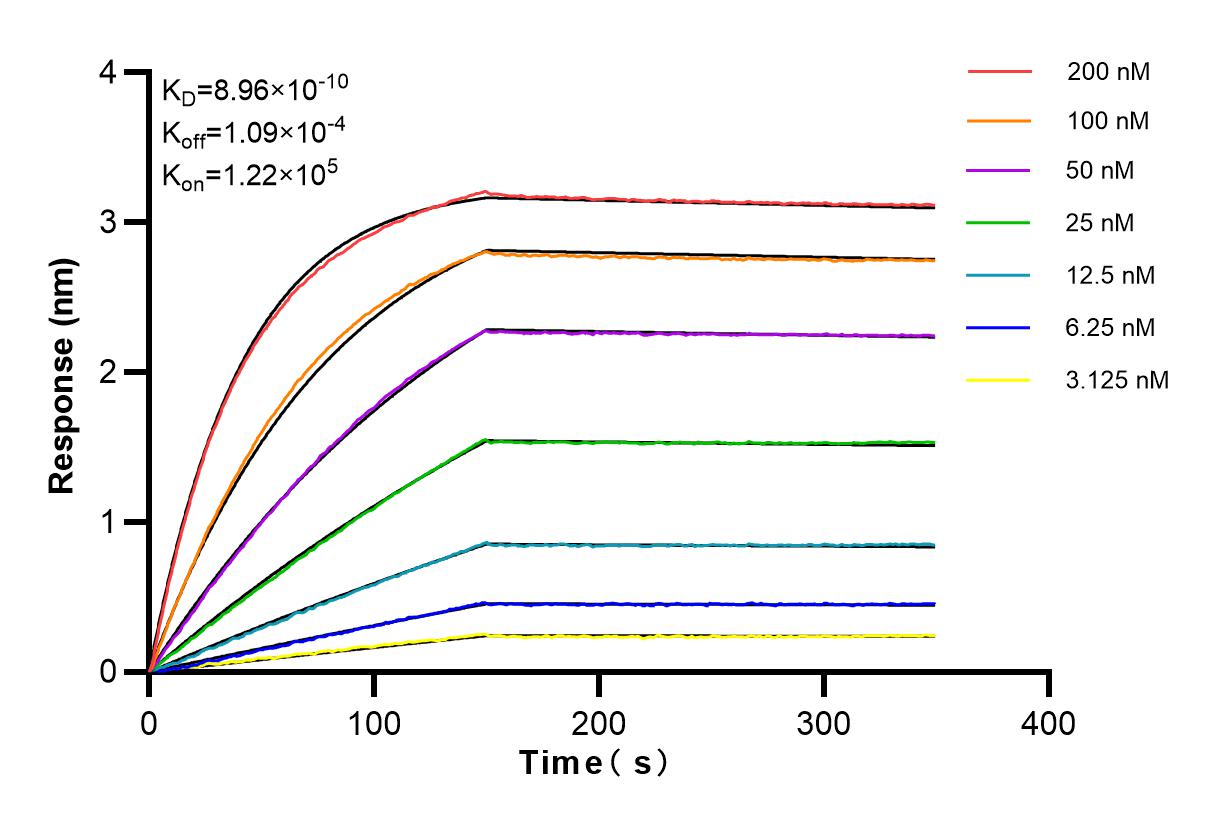 Affinity and Kinetic Characterization of 83409-5-RR