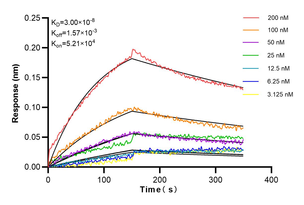 Affinity and Kinetic Characterization of 83414-5-RR