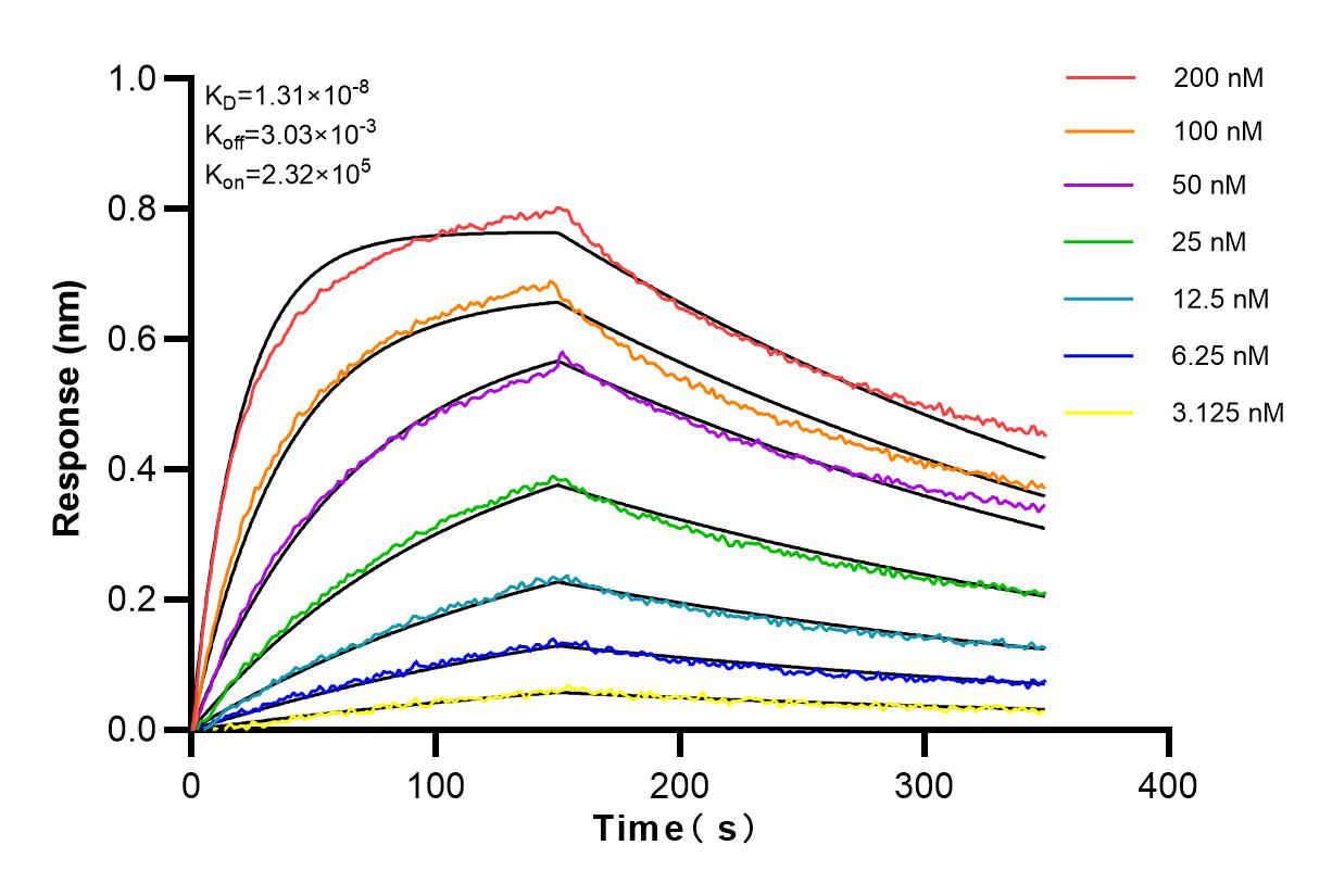 Affinity and Kinetic Characterization of 83418-4-RR