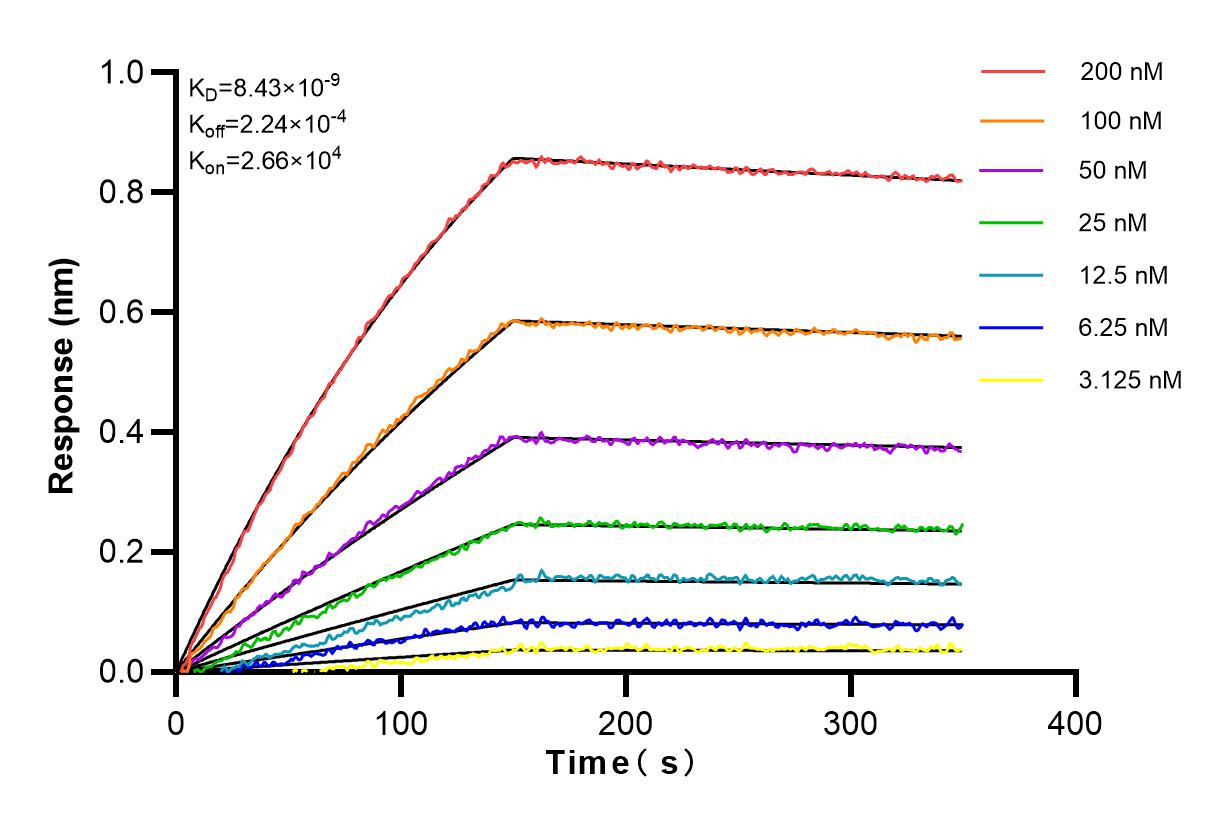 Affinity and Kinetic Characterization of 83420-1-RR