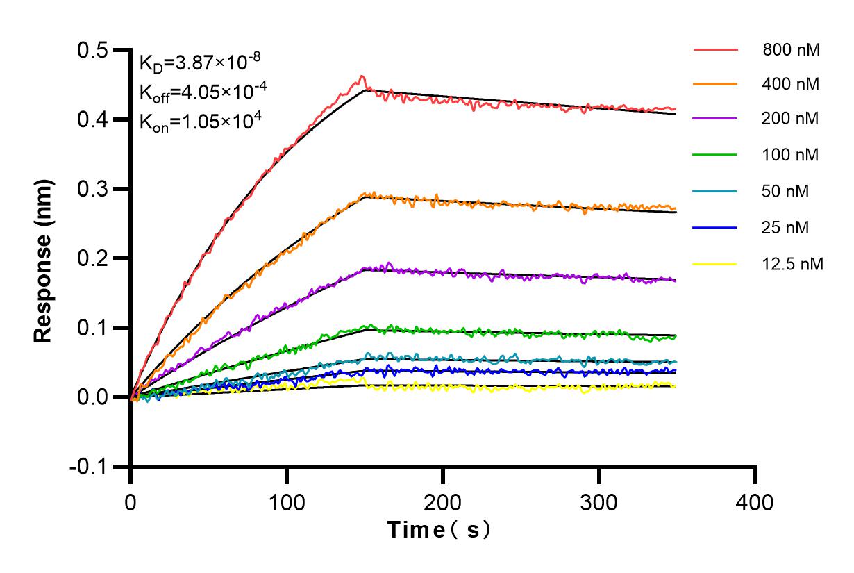 Affinity and Kinetic Characterization of 83438-6-RR