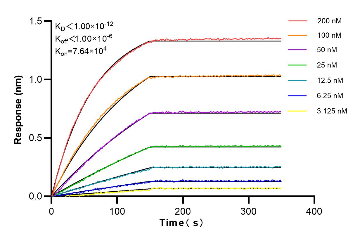 Affinity and Kinetic Characterization of 83439-1-PBS