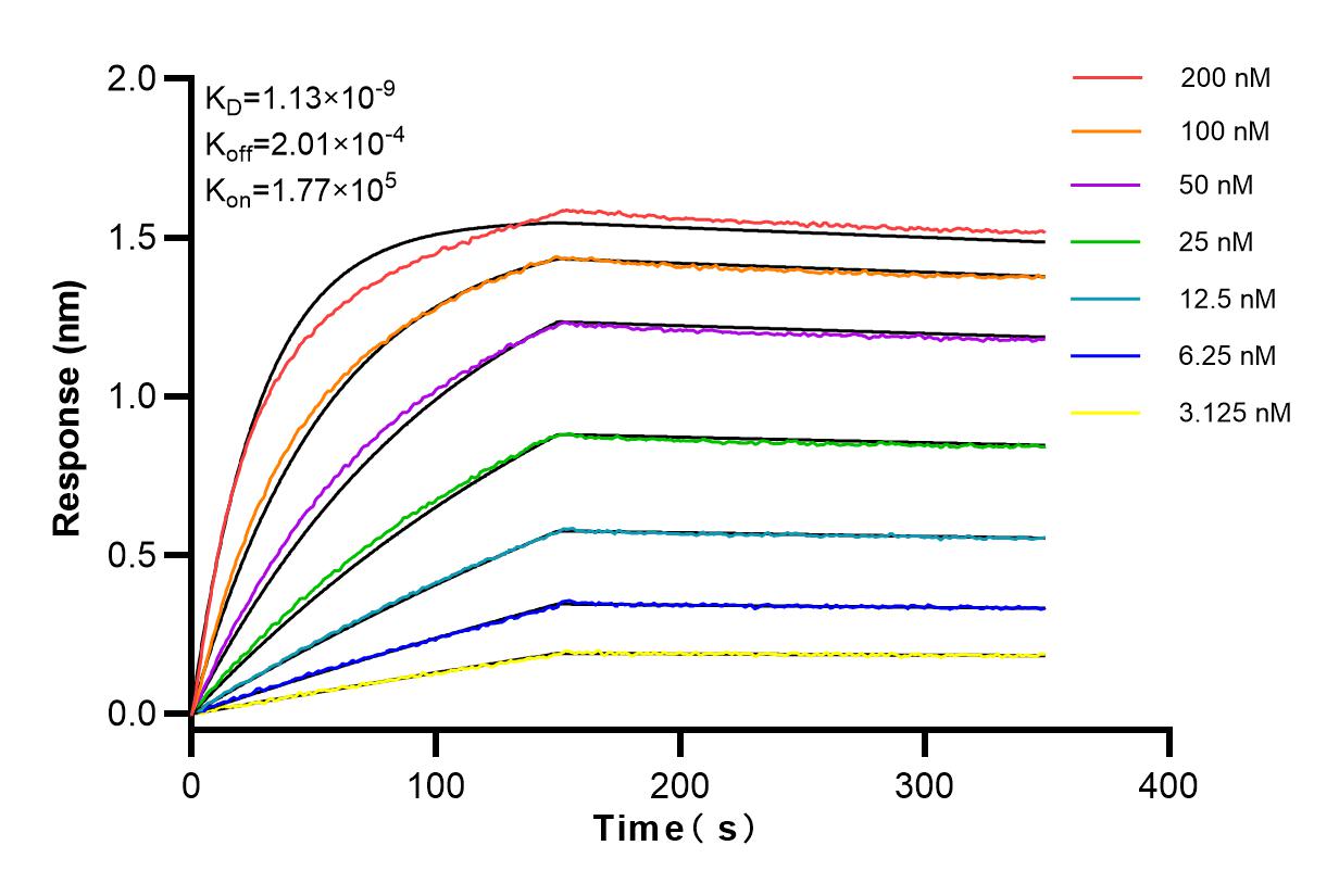 Affinity and Kinetic Characterization of 83441-3-RR