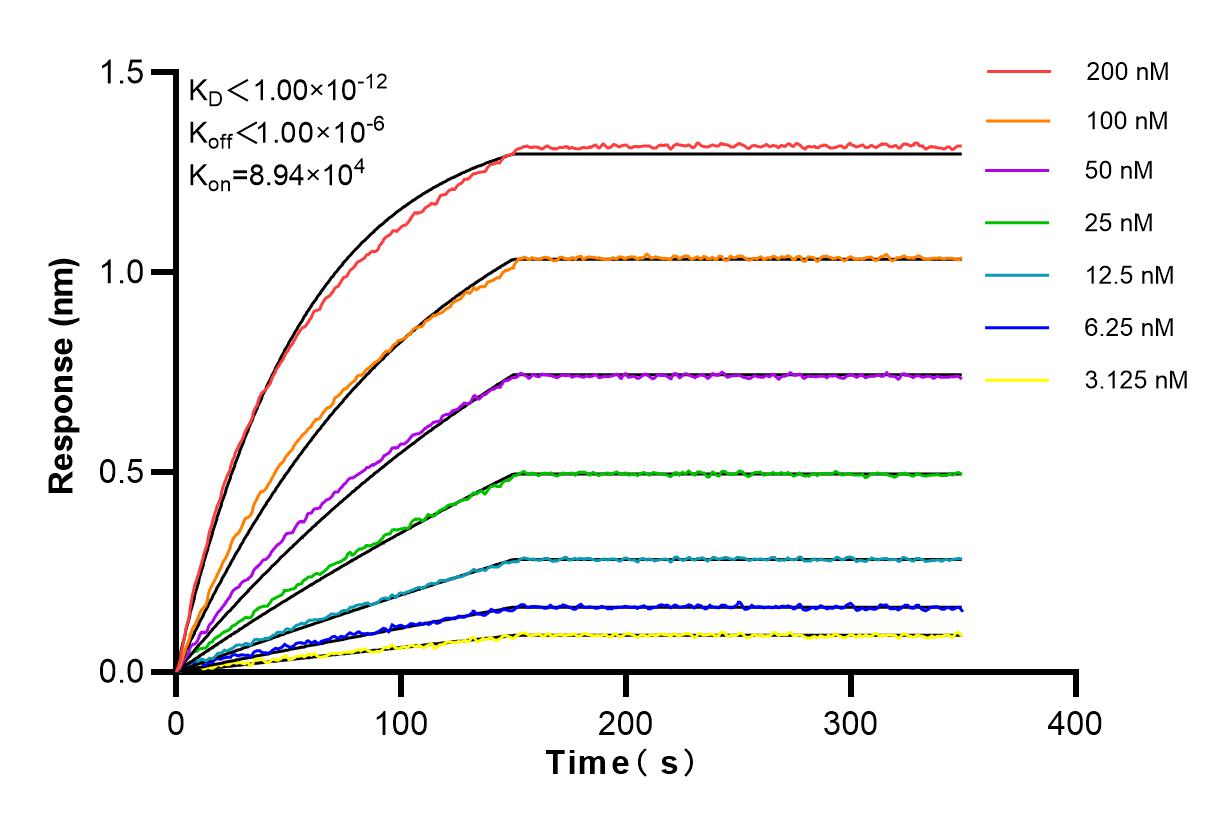 Affinity and Kinetic Characterization of 83442-6-RR