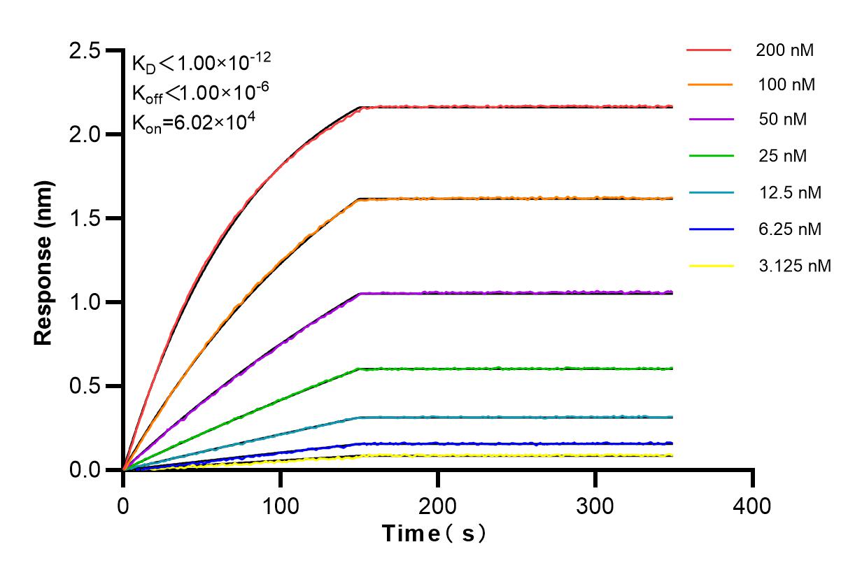 Affinity and Kinetic Characterization of 83443-6-RR