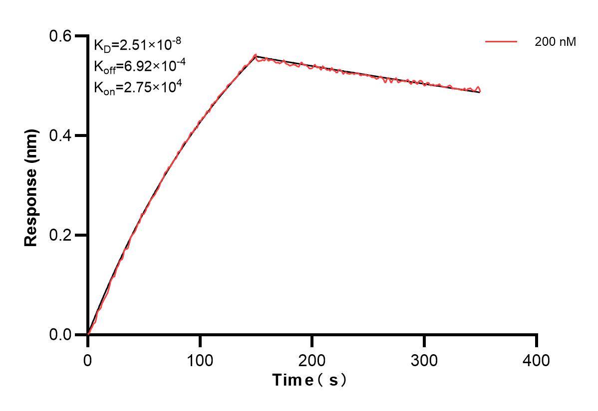 Affinity and Kinetic Characterization of 83447-1-PBS