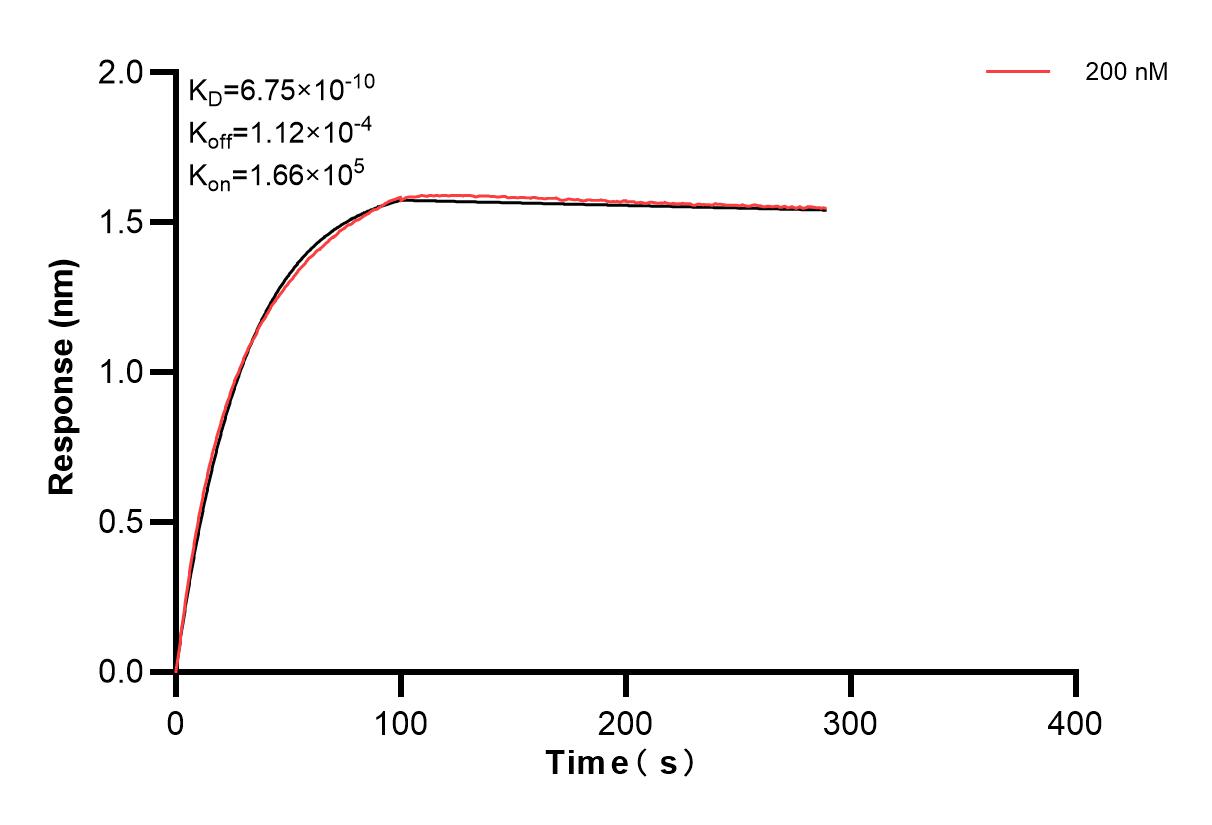 Affinity and Kinetic Characterization of 83447-2-PBS