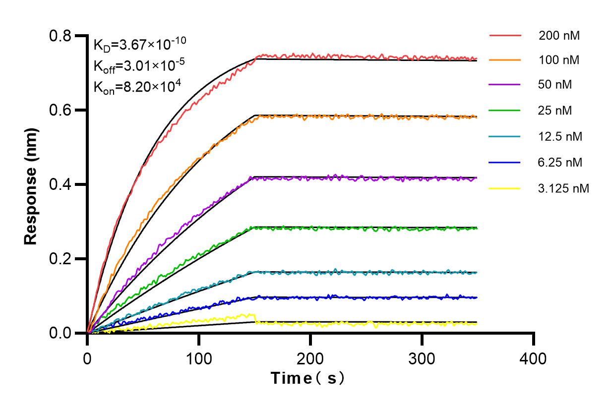 Affinity and Kinetic Characterization of 83456-6-RR